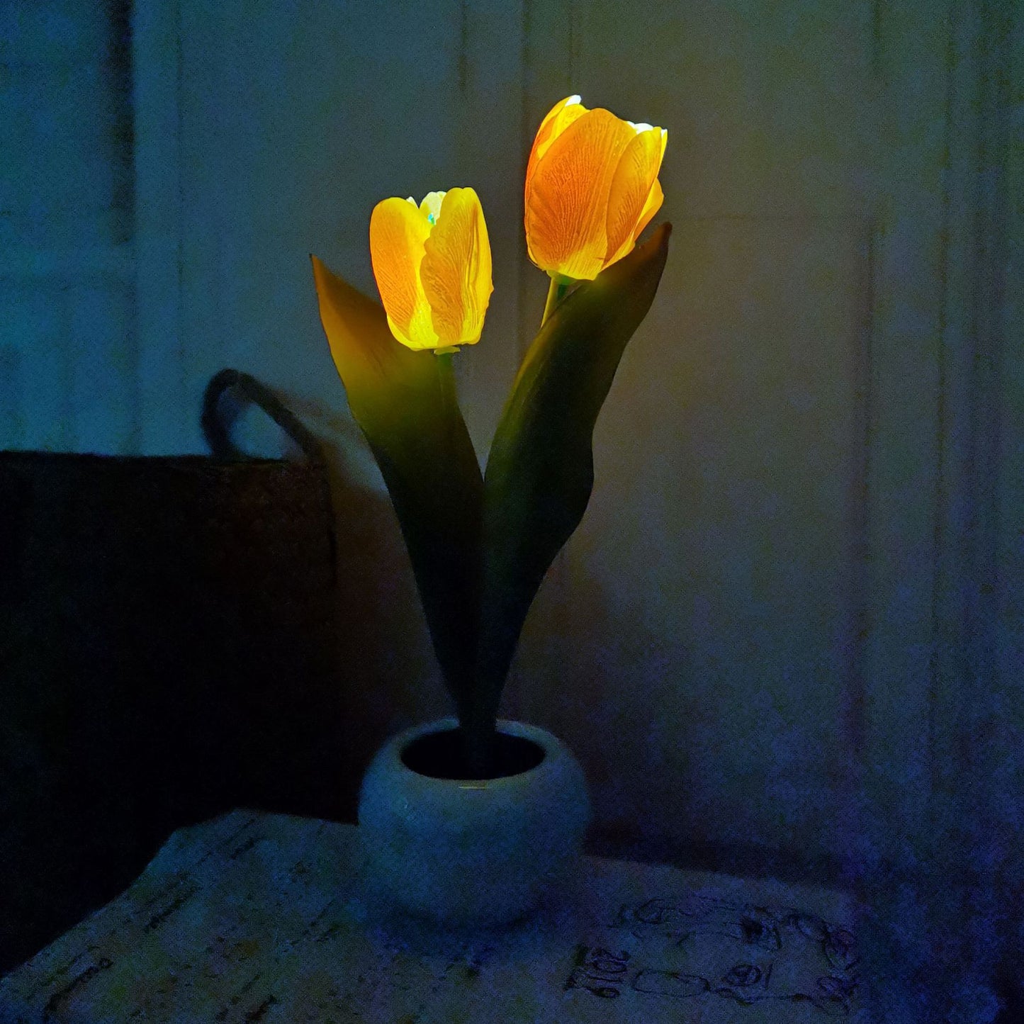 Rose lights